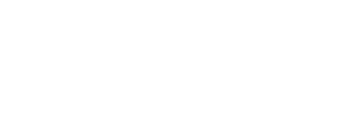 本格的な美容鍼灸